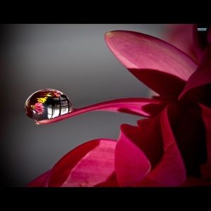 Meet your Posher, TJ